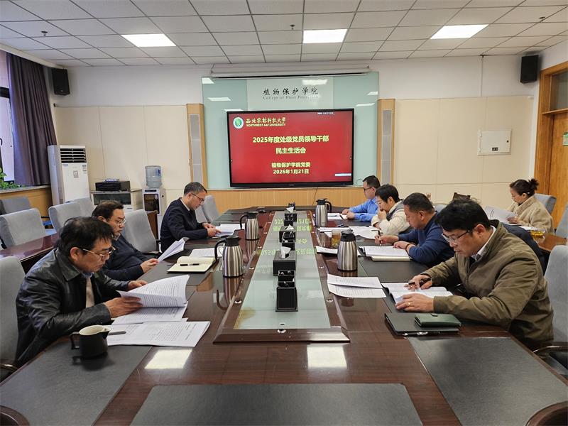 800少年阿宾
2025年度处级党员领导干部民主生活会.jpg